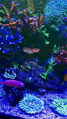 AquaCam_F1E8994B.jpeg