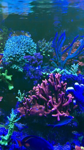 AquaCam_467567F2.jpeg