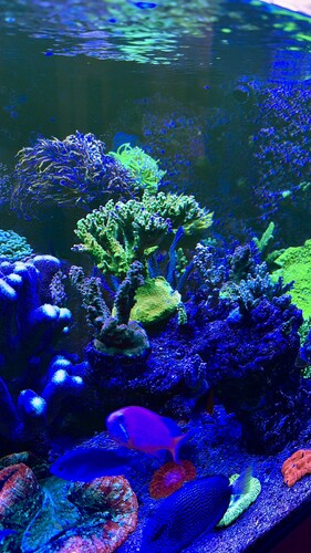 AquaCam_32D342F4.jpeg