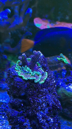 AquaCam_BCAD8978.jpeg
