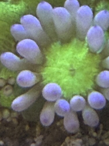 IMG_1266.jpeg