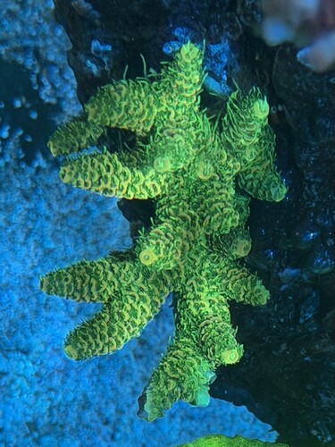 IMG_1280.jpeg