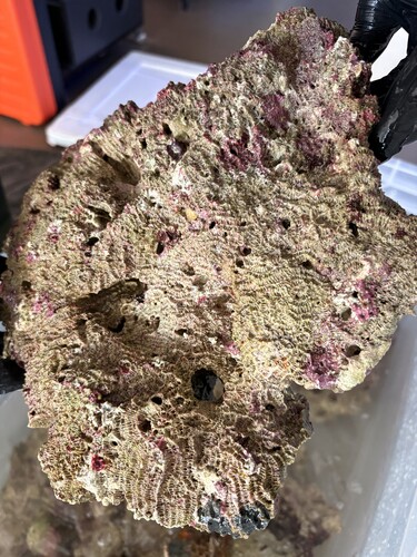 IMG_2022.jpeg