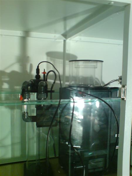 DSC00053 (Medium).JPG