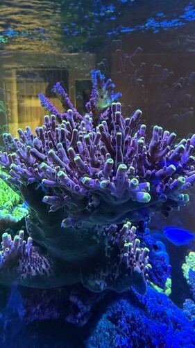 IMG_2005.jpeg
