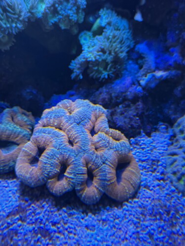 IMG_6500.jpeg
