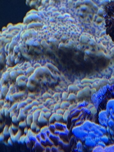 IMG_6497.jpeg