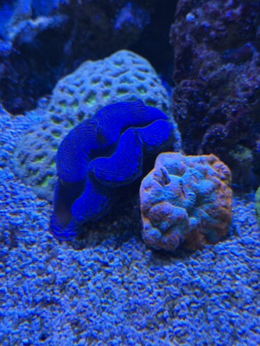 IMG_6494.jpeg
