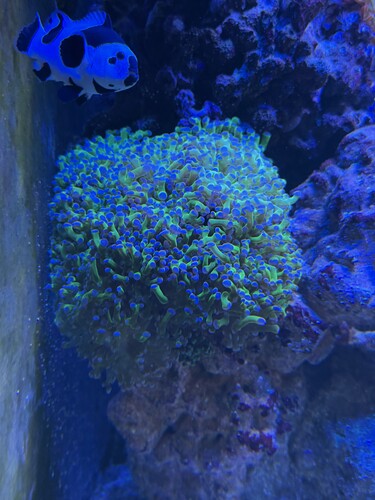 IMG_6491.jpeg