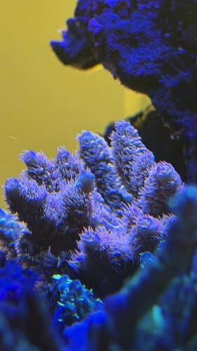 IMG_2088.jpeg