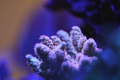 IMG_1032_edited.jpg