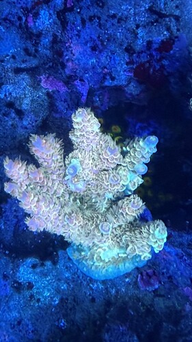 IMG_2179.jpeg
