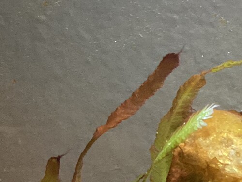 IMG_5771.jpeg