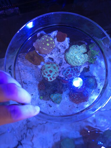 20260720_133501.jpg