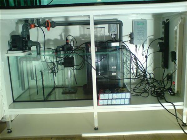 DSC00059 (Small) (Custom).JPG