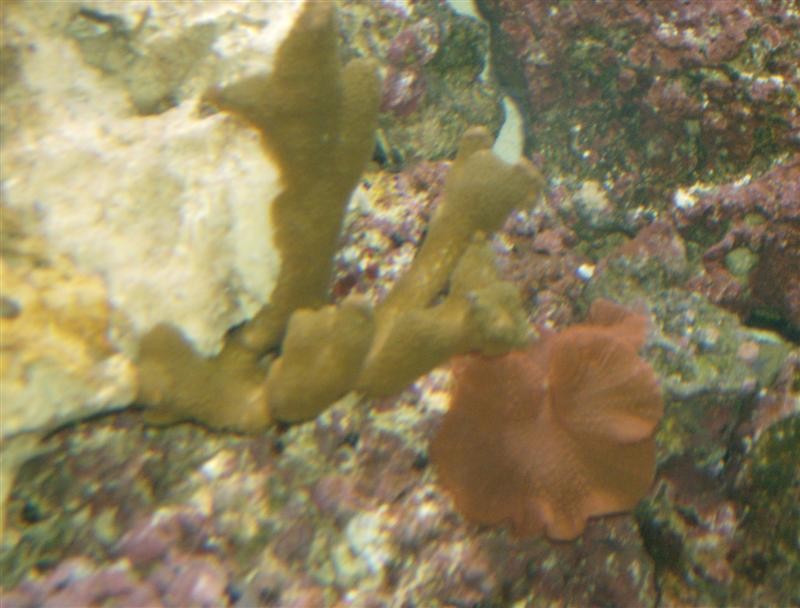 HPIM0306 (Medium).JPG