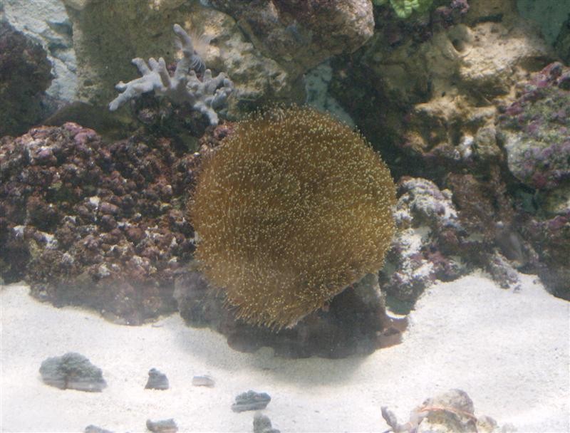 HPIM0301 (Medium).JPG