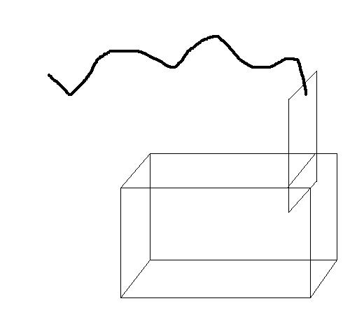fiske fælde.JPG