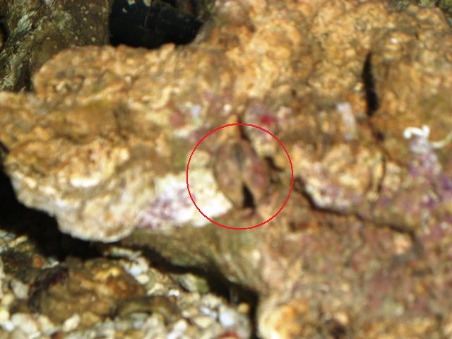 CIMG0311.JPG