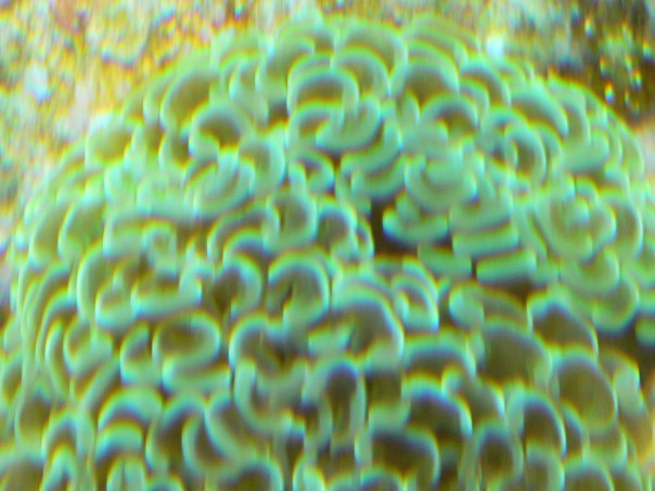 n539379100_739178_4301.jpg