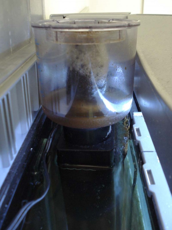 Tunze Doc skimmer