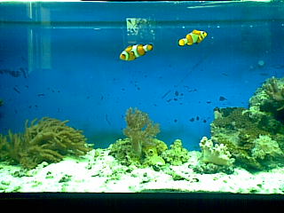 21092008(003).jpg