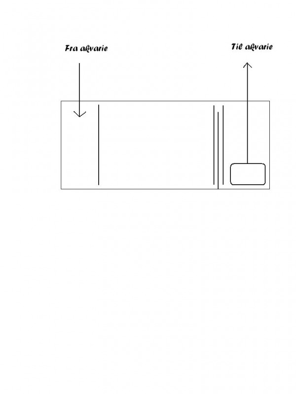 Sump.JPG
