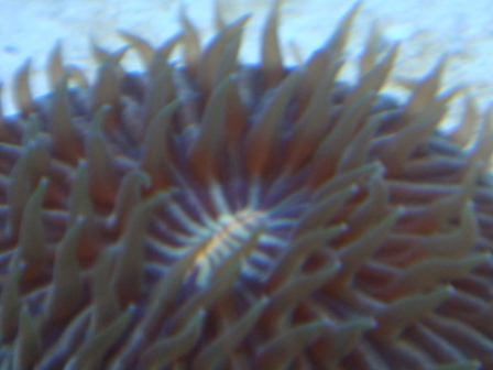 DSC01480.JPG