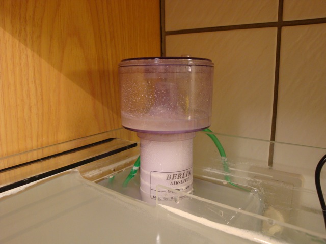 DSC01130.JPG