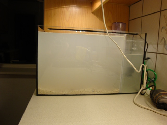 DSC01129.JPG