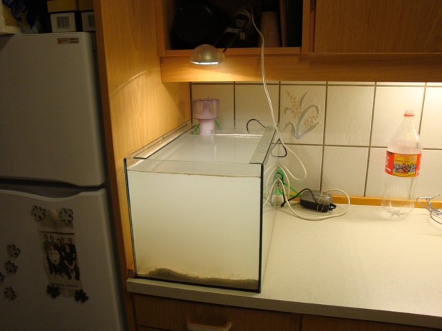 DSC01128.JPG