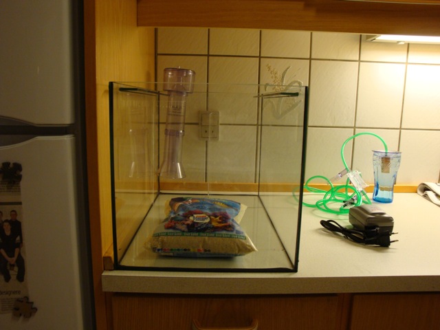 DSC01121.JPG