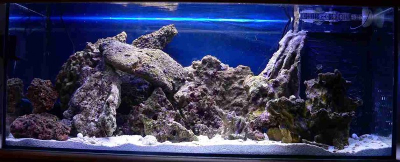 Hele akvariet 100x40x40