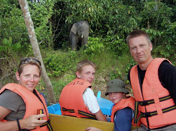Billedet er taget, da vi boede ude i regnskoven og var på flodsafari. Pludselig står der en Pygmæelefant og glor på os.