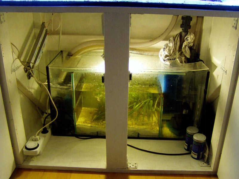 refugium.67.63K.jpg