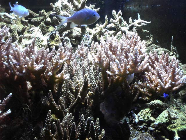 DSC01409.jpg