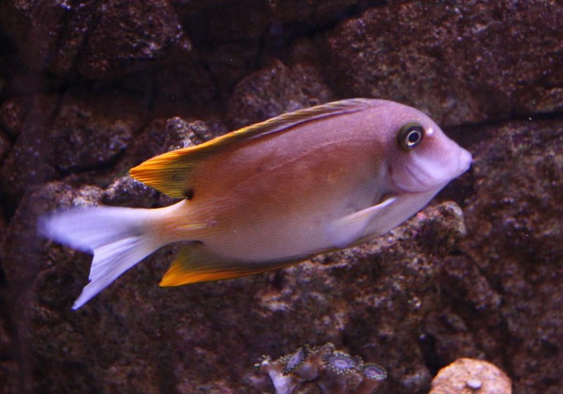 Billede 066.jpg