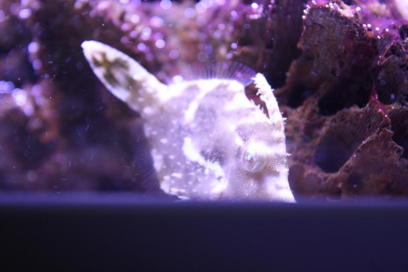 Billede 049.jpg