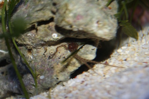 IMG_0759.JPG