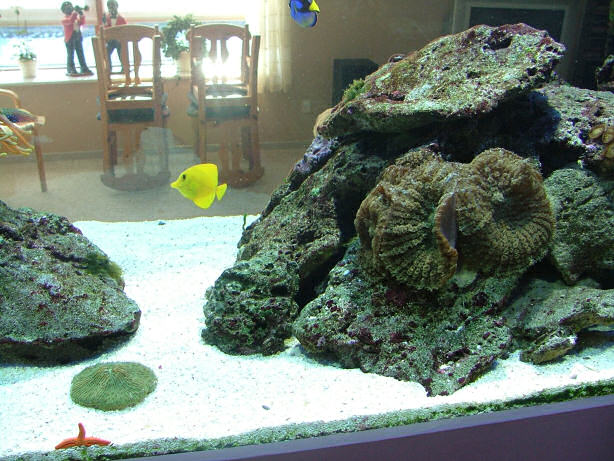 DSCF2133.JPG