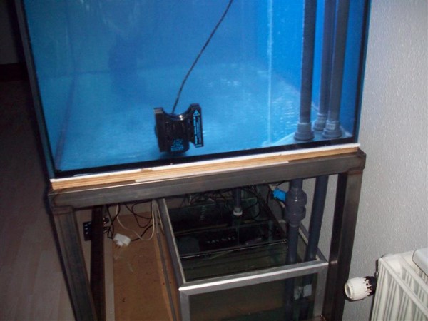 morten 002 (Medium).jpg