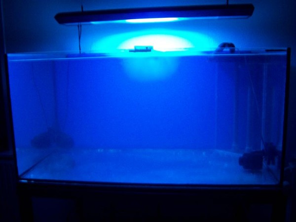 morten 008 (Medium).jpg