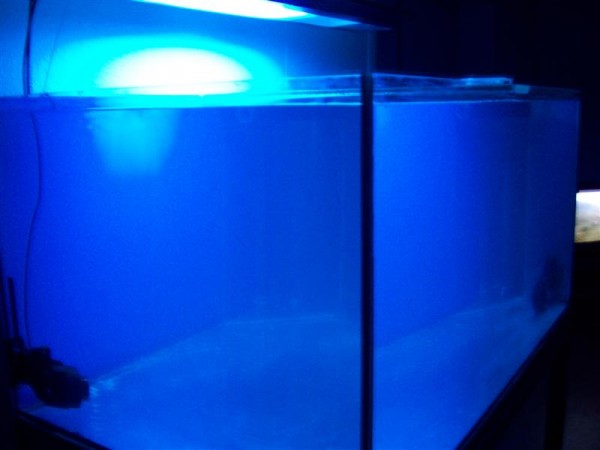 morten 009 (Medium).jpg