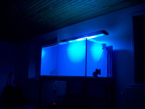 morten 014 (Medium).jpg