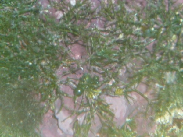 P1010674.JPG