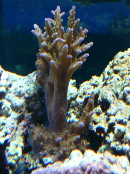 n539379100_739176_2475.jpg