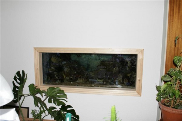 600 liter 004 (Medium).JPG
