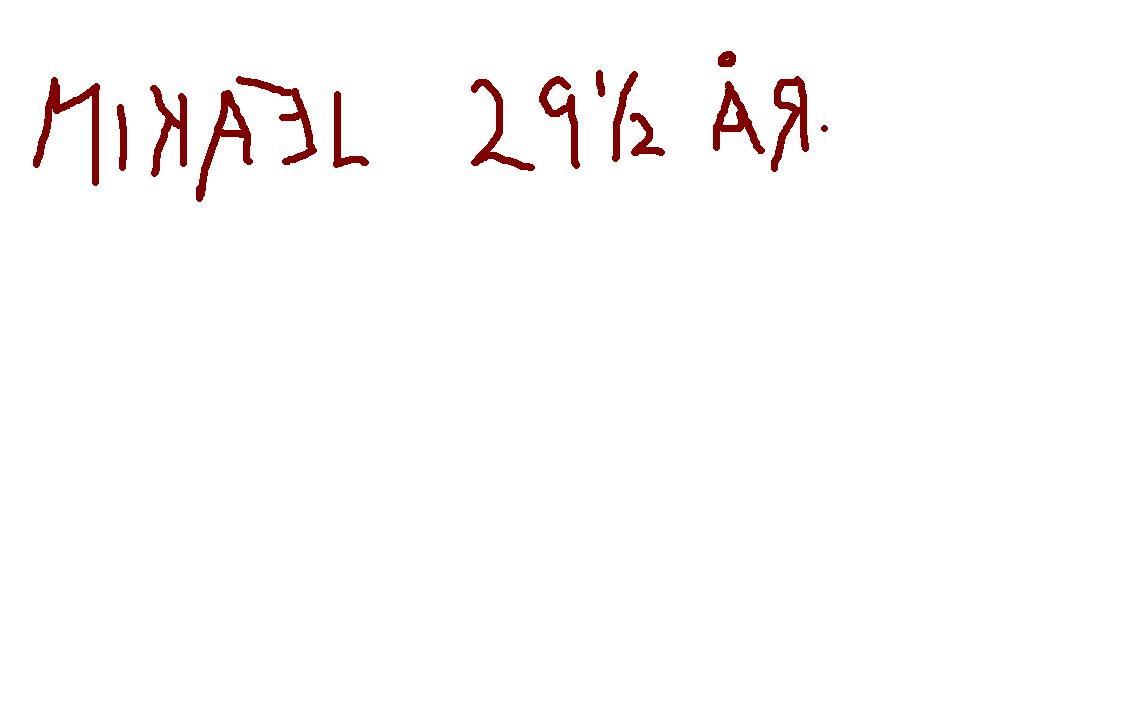 Mik.JPG
