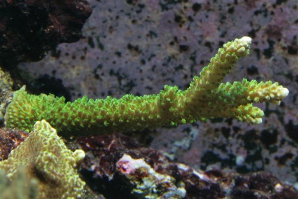IMG_9847crop (Medium).jpg