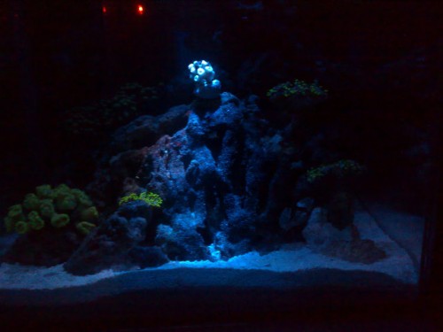 02012008076.jpg